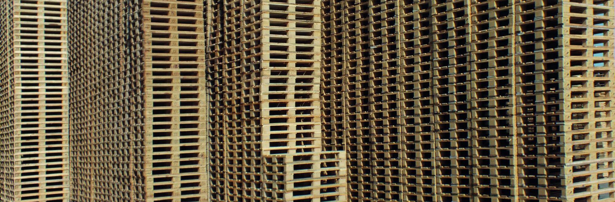Palets de madera del dossier corporativo de PaletsGo